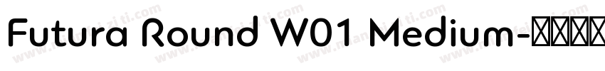 Futura Round W01 Medium字体转换